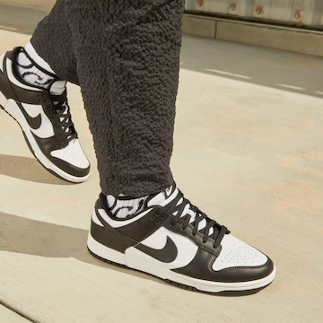 Tenis Nike Dunk Unisex